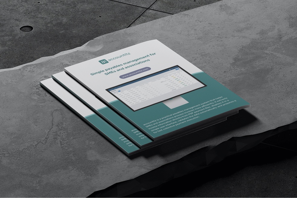 Vorschau des accountitz -Factsheets